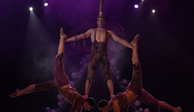 dinamic-show-espectaculos-eventos-premium-11