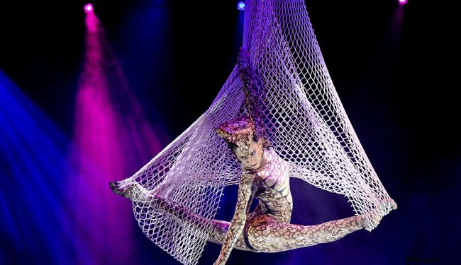 dinamic-show-espectaculos-show-10